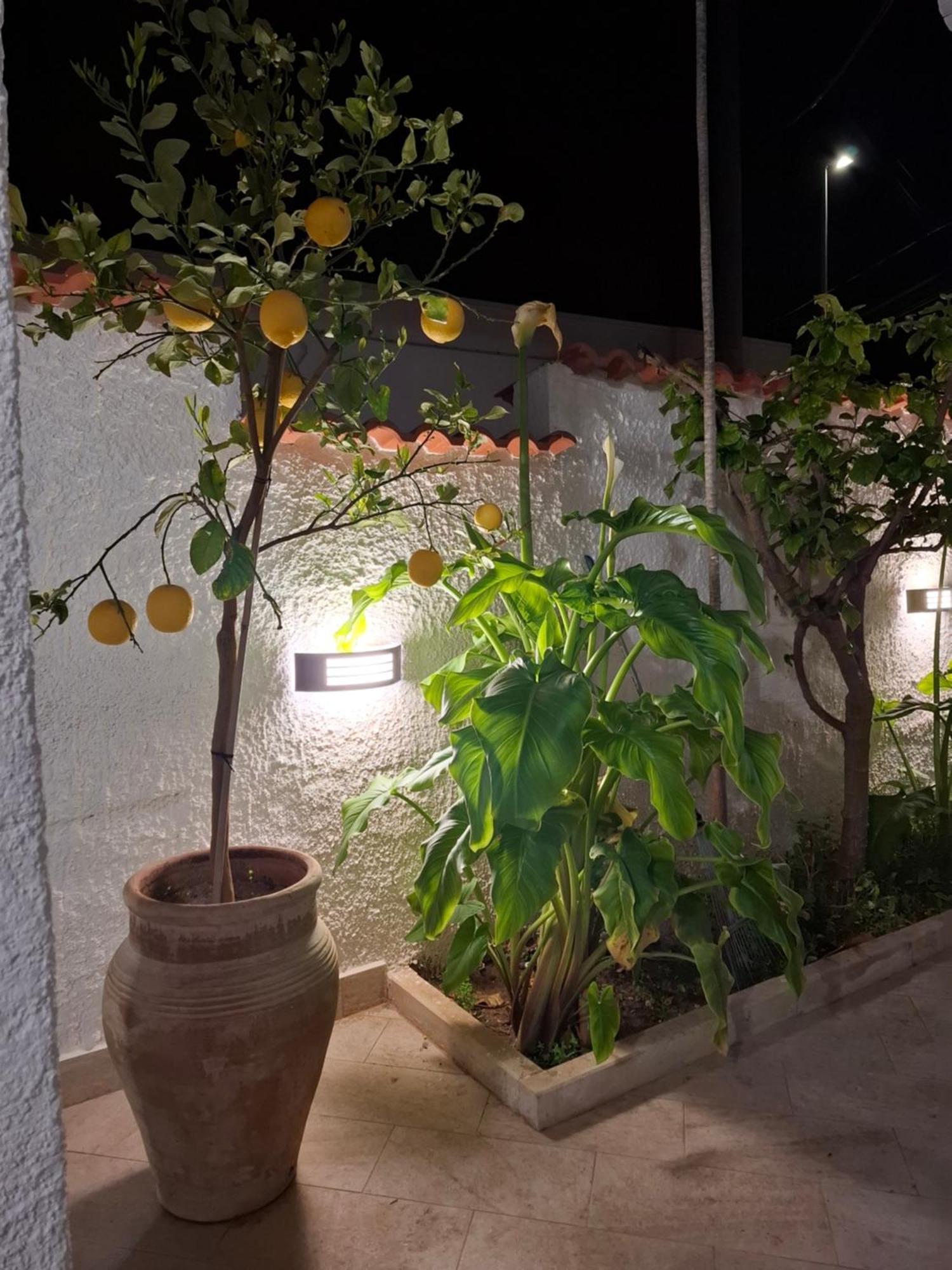 Toluammare Sicily Villa Santa Maria Del Focallo Exterior foto