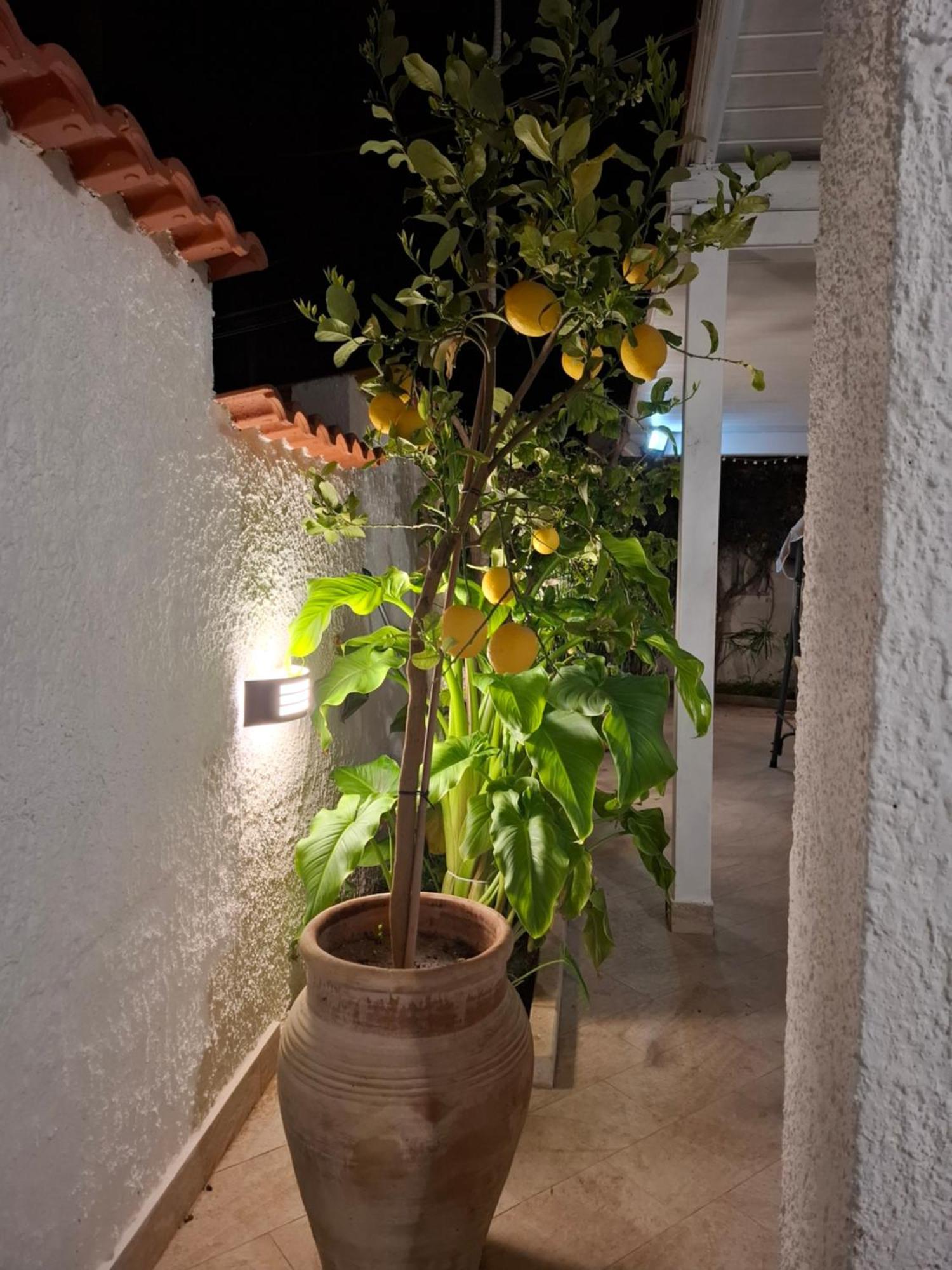 Toluammare Sicily Villa Santa Maria Del Focallo Exterior foto